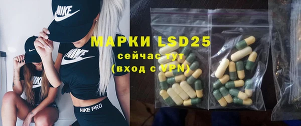 хмурый Елизово