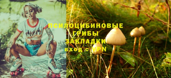 хмурый Елизово