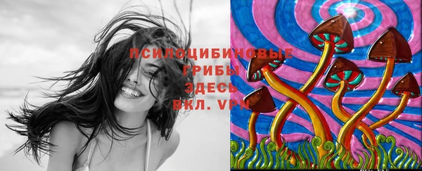гашишное масло Ельня