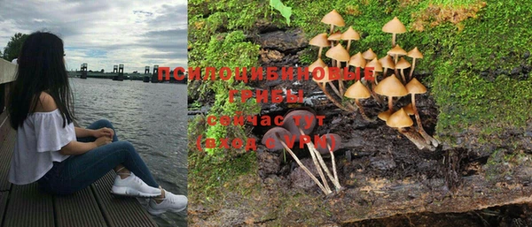 хмурый Елизово