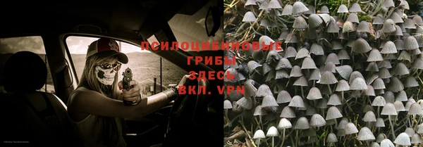 хмурый Елизово
