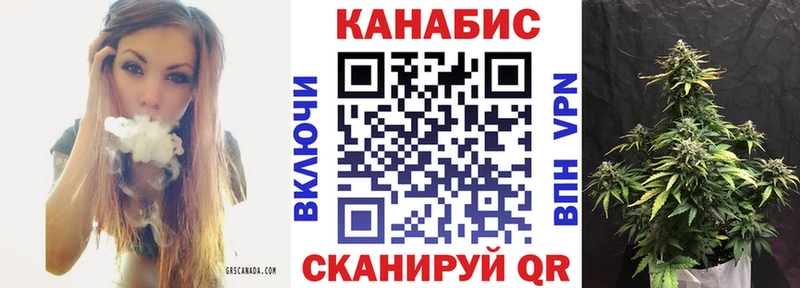 где найти   Динская  Шишки марихуана OG Kush 